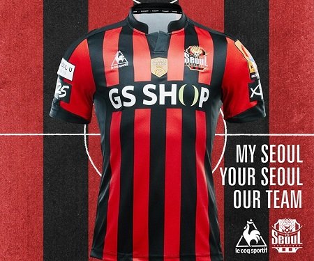 fc seoul dest
