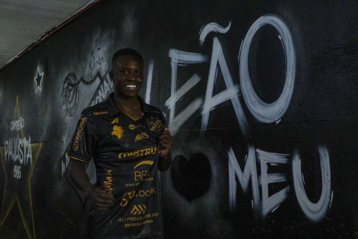 Camisa especial da Inter de Limeira 2024-2025 Alluri África