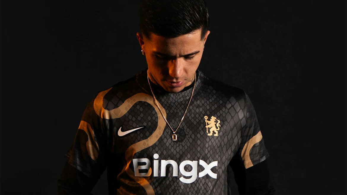 Camisa pré-jogo do Chelsea 2025 Ano Novo Chinês Cobra