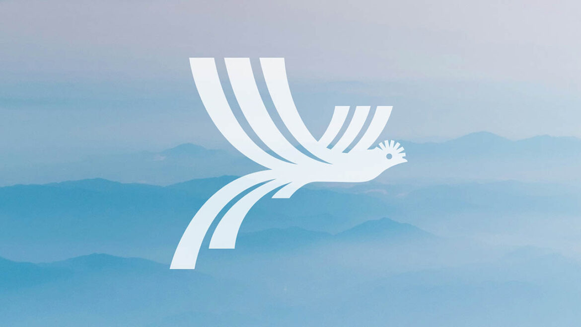 Novo escudo Seleção da Guatemala Novo escudo Seleção da Guatemala