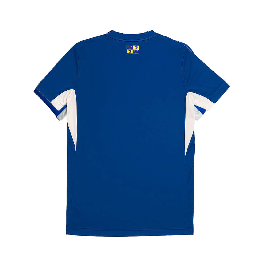 Camisa titular do Grenoble Foot 38 2025-2026 Nike